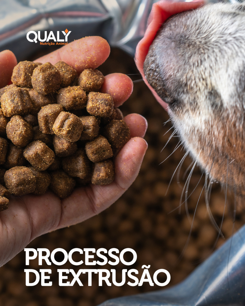 Qualidade no Processo de Extrusão de Rações - Blog Qualy Nutrição Animal